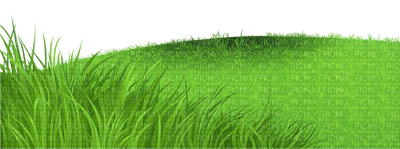 grASs border - Free PNG