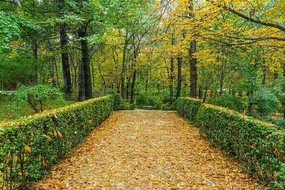 maisema landscape syksy autumn - zadarmo png