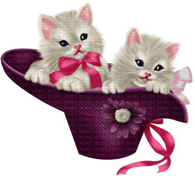 Kaz_Creations Cats Kittens Cat Kitten Hat - png grátis