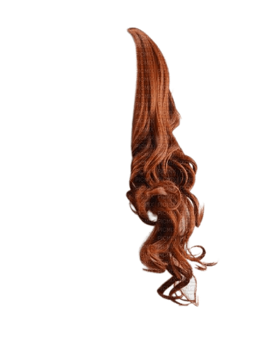 cheveux 01 - 免费PNG