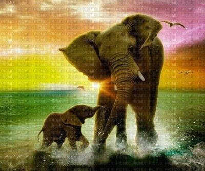 Elefant - 免费PNG
