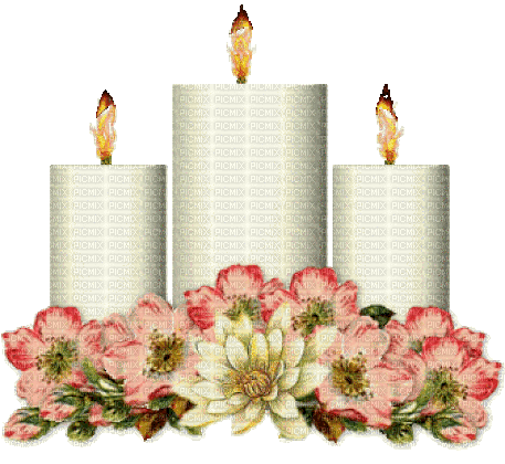 Kerzen, Blumen - Gratis animerad GIF