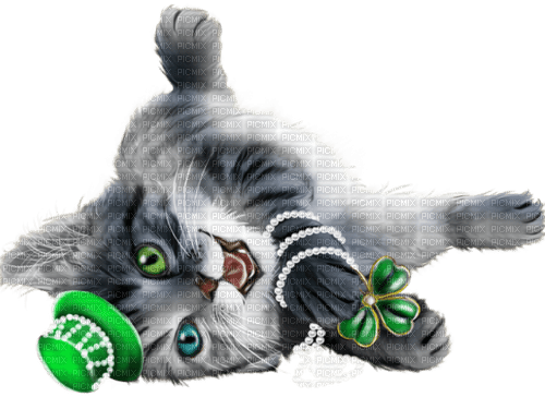 Saint Patricks Day. Cat. Leila - безплатен png