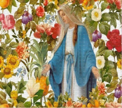 Virgen Milagrosa - бесплатно png