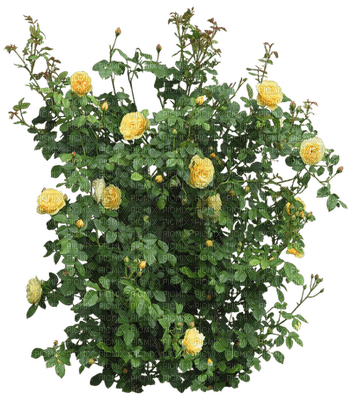 Kaz_Creations Garden Deco Flowers - ilmainen png