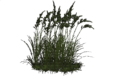 Трава - Animovaný GIF zadarmo