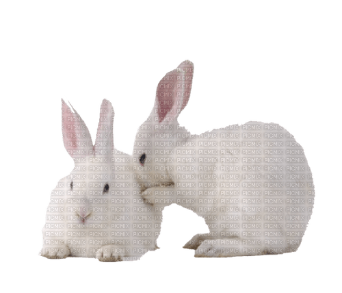 hase rabbit milla1959 - 免费PNG