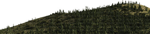 lawn with trees 1 - kostenlos png