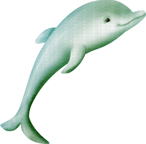 dolceluna deco dolphin summer - бесплатно png
