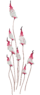 soave deco flowers animated spring summer pink - Gratis animeret GIF