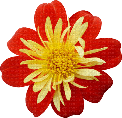 fleur gif animation adam64 - png grátis