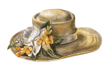 vintage woman hat - Free PNG