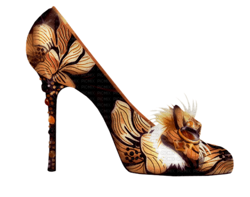 Zapatos de mujer - δωρεάν png