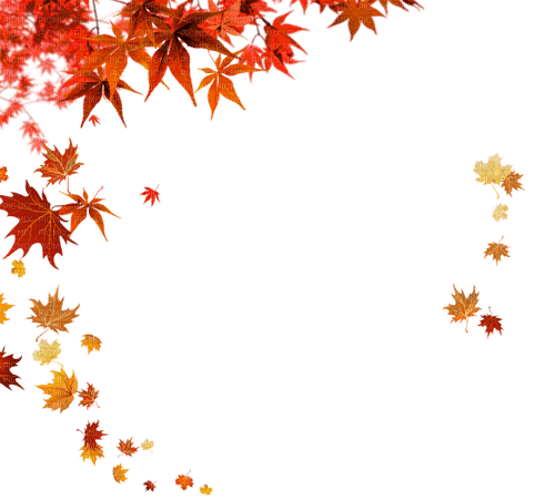 autumn  Bb2 - Free PNG