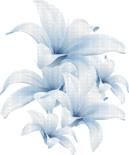 Цветы; декор - 免费PNG
