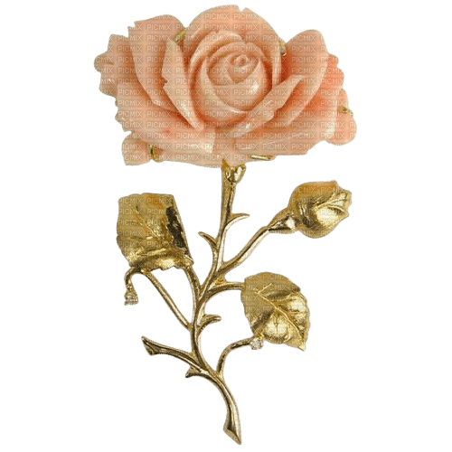 wax rose flower gold and pink - besplatni png