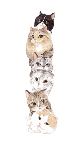 Cats - Free PNG