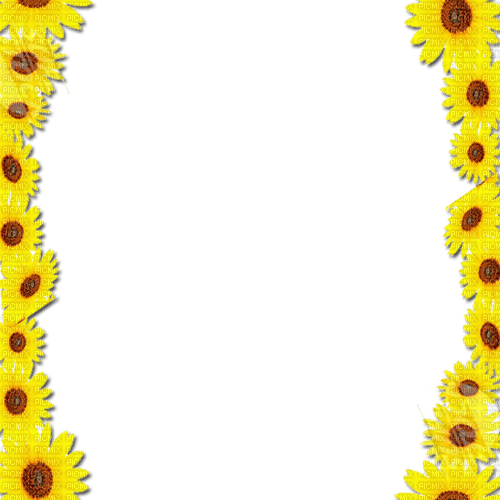 Sunflower Frame - zdarma png