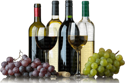 Wine drinks bp - besplatni png