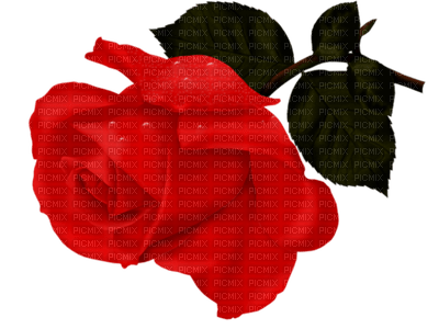 All My Roses - безплатен png