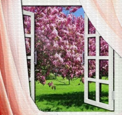 spring_summer window bg - kostenlos png