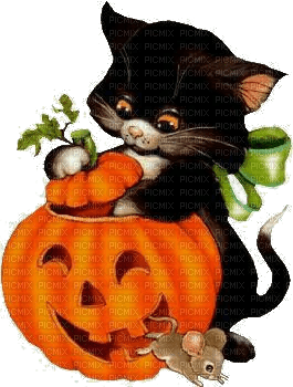 Halloween, Kürbis, Katze, Maus - kostenlos png