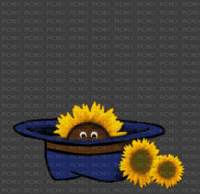 image fleurs tournesol sourire joyeux vendredi - GIF animate gratis