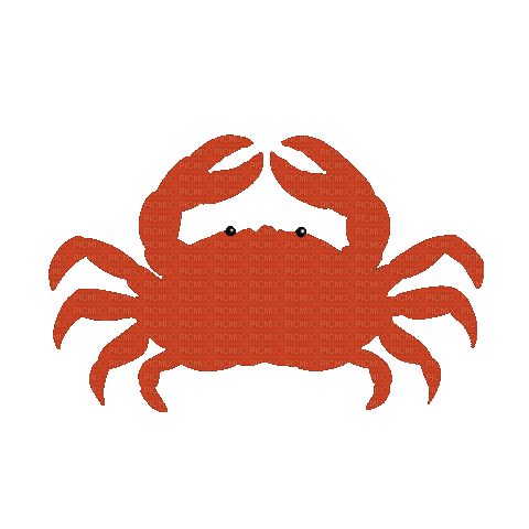 Crab - GIF animado grátis