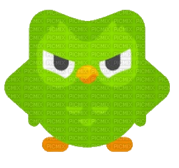 Duolingo - PNG gratuit