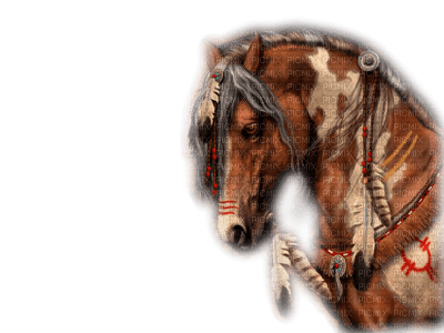 American Indian horse bp - 免费PNG