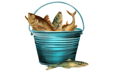 Рыба, ведро, Карина - PNG gratuit