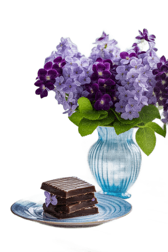 Flower Bouquet with Chocolate - besplatni png