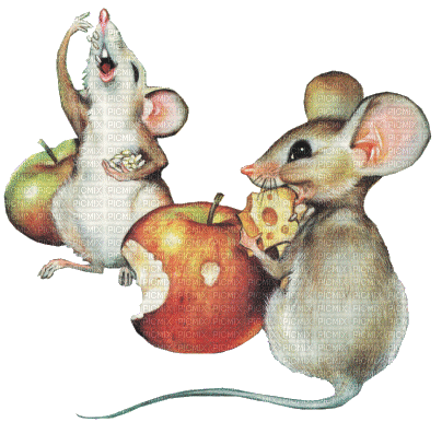 Mäuse, Äpfel - Nemokamas animacinis gif