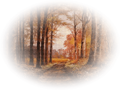 autumn overlay - PNG gratuit