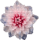 d-flower - GIF animé gratuit