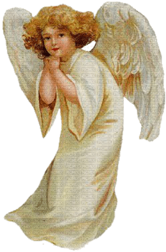 Angel - nemokama png