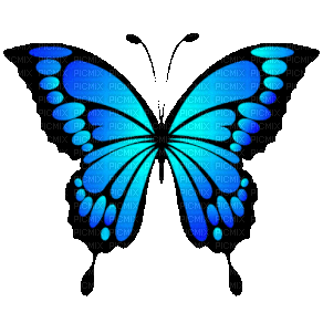 Mariposa azul - 無料のアニメーション GIF