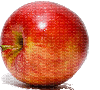 Kaz_Creations Fruit Apples Apple - gratis png