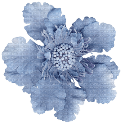 fleur bleu.Cheyenne63 - png gratuito