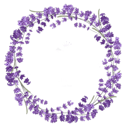 Lavender circle frame - ücretsiz png