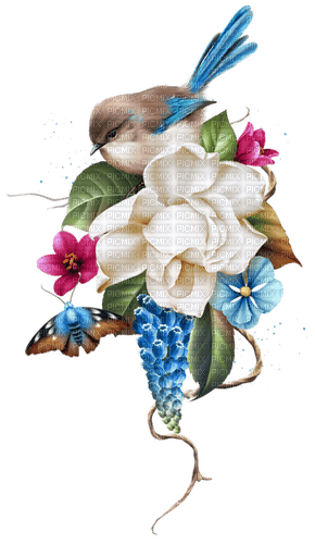 blomma och fågel---flower and bird - 無料png