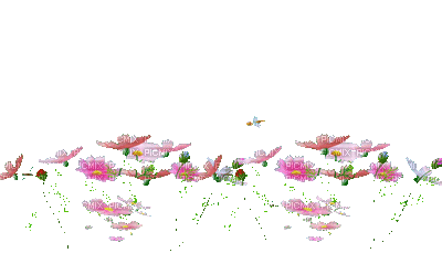 Hoa - Darmowy animowany GIF