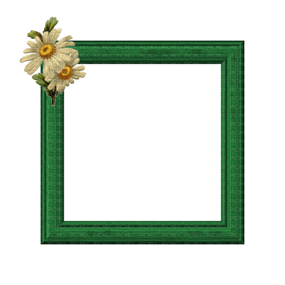 Small Green Frame - бесплатно png
