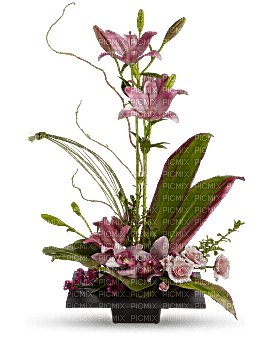 bouquet de fleurs web charmille - bezmaksas png