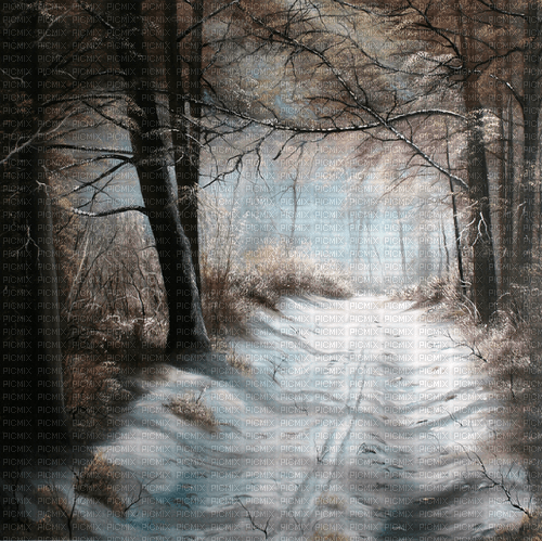 Rena Winter Hintergrund - ücretsiz png
