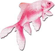 soave deco summer fish scrap orange pink - PNG gratuit