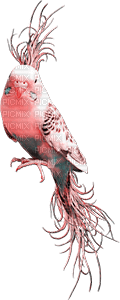 soave deco summer bird tropical parrot pink teal - ücretsiz png