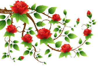 soave deco branch animated flowers rose spring - Zdarma animovaný GIF