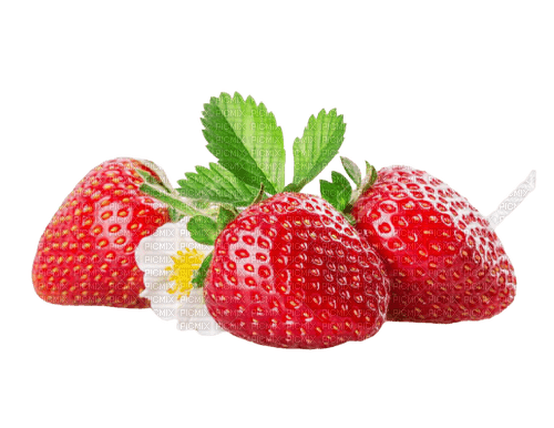 flower,fruit, strawberry - ücretsiz png