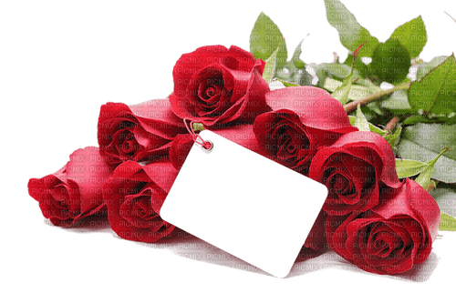 cadre,frame,rose,coeur,Saint Valentin, Pelageya - Free PNG